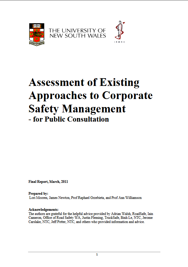 Assessment of Existing Approaches to Corporate Safety Management ...